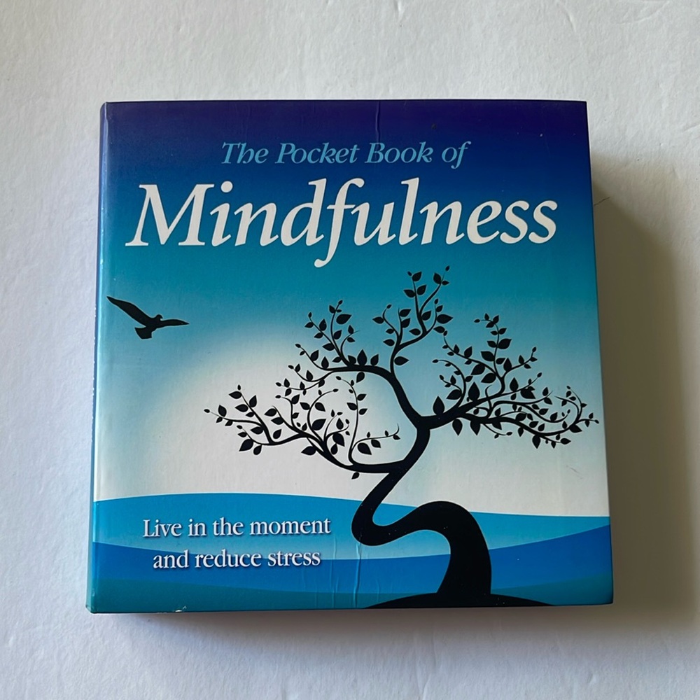 The Pocket Book Of Mindfulness